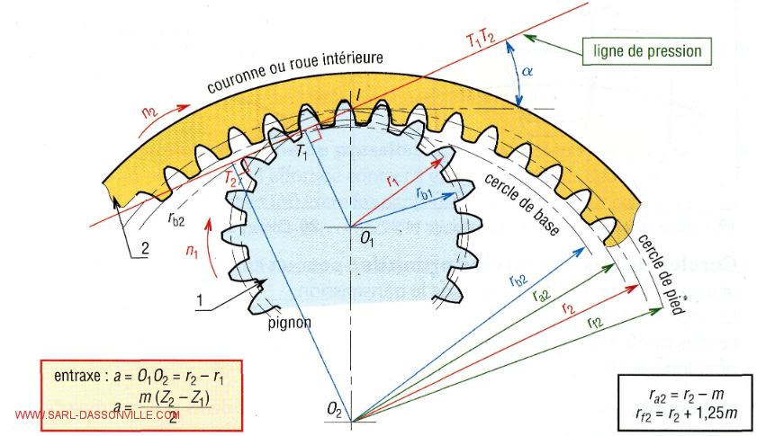 Caractéristiques denture intérieure